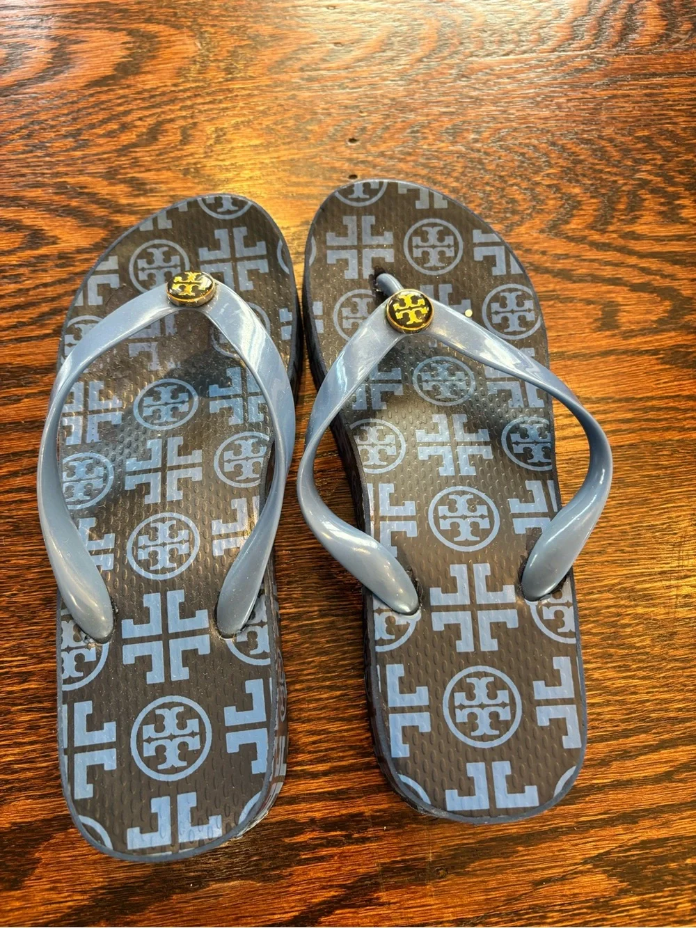 Tory Burch Light Blue Logo Jelly Flip Flops with Gold Emblem